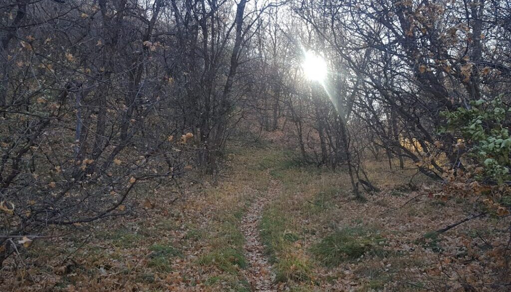 Zgubienie się na szlaku – jak działać przy ograniczonej widoczności i braku zasięgu