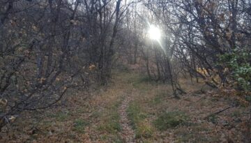 Zgubienie się na szlaku – jak działać przy ograniczonej widoczności i braku zasięgu