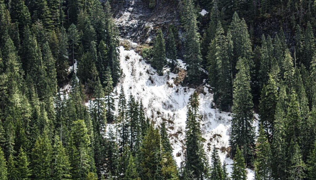 Uraz na szlaku – procedury pierwszej pomocy w warunkach górskich