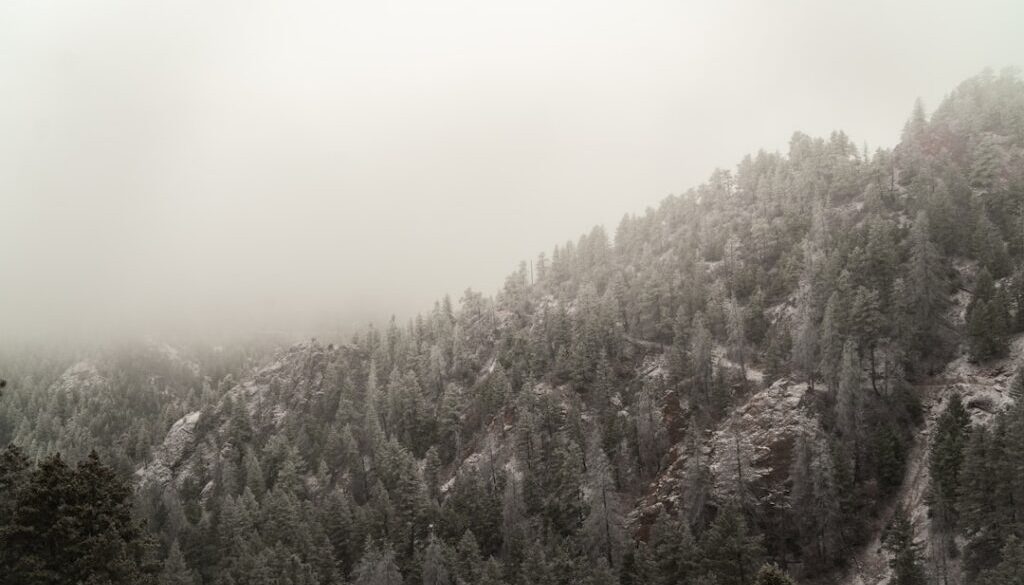 Zgubienie szlaku w górach – orientacja w mgle i podczas opadów śniegu