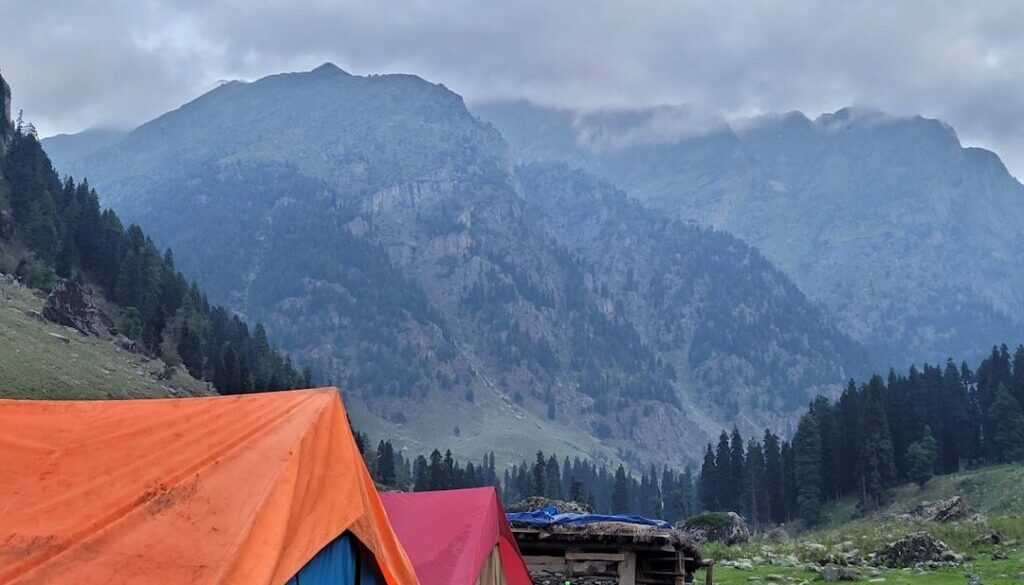 Bezpieczne biwakowanie w górach – ochrona przed dzikimi zwierzętami i pogodą